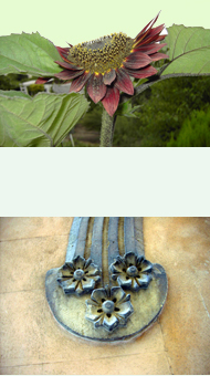 Fotos: Beate v. Jank