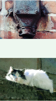 Fotos: Beate v. Jank